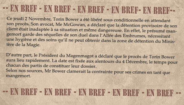 Gazette du Sorcier - Novembre 2000 Bravet10