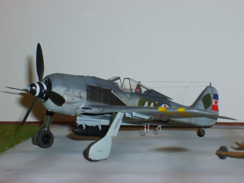 FW 190 F8 Partisans Yougoslaves S6001529