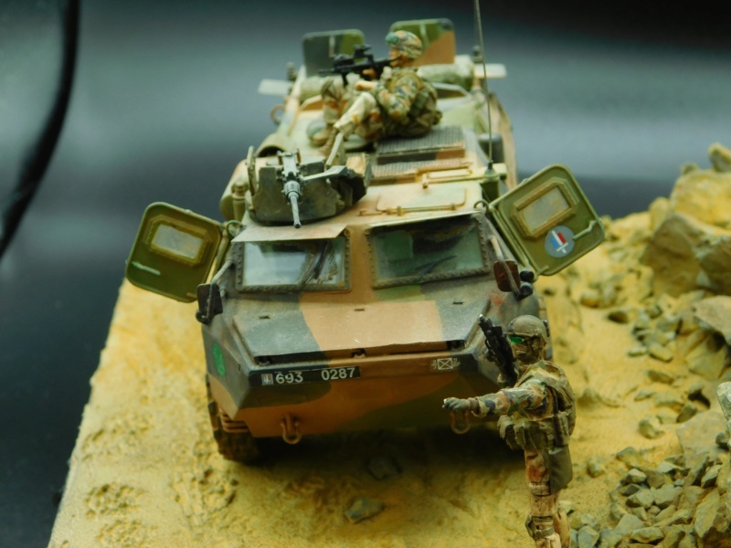 Véhicule de Combat d Infanterie AMX 13 M 56 VCI Réf 81140  Dscn2522