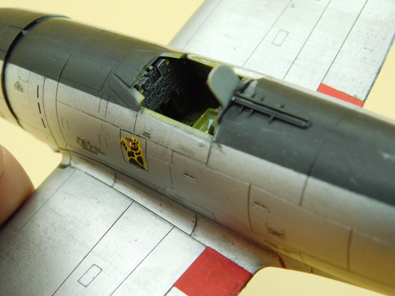 *1/48 - P47D-30 - Hasegawa  Dscn2836