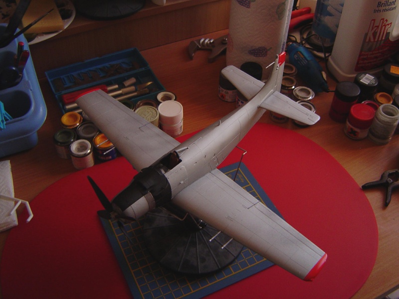AD-4 Skyraider 1/48 Dsc07011