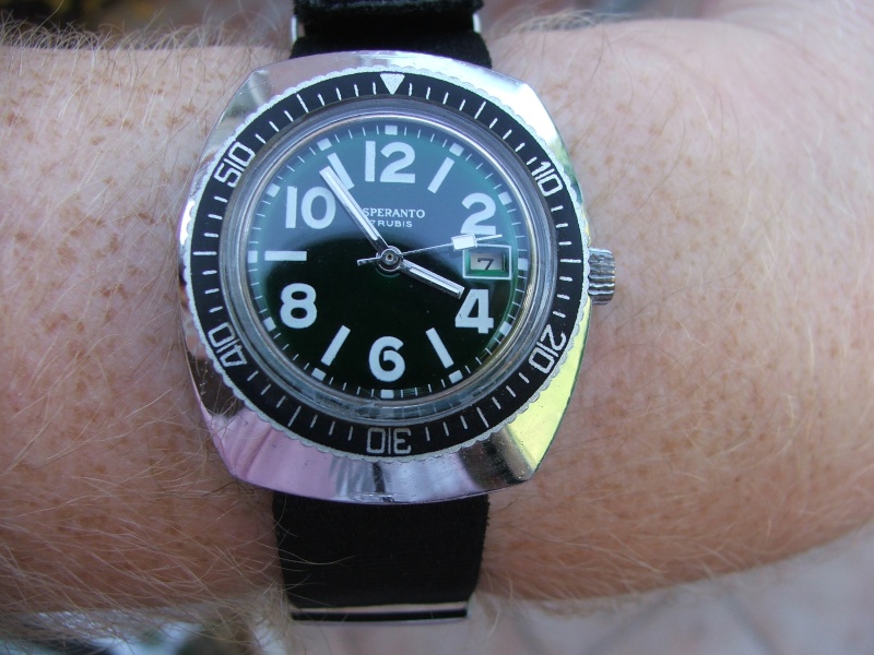 Un post qui référence les montres de brocante... tome I - Page 2 Dscf6313