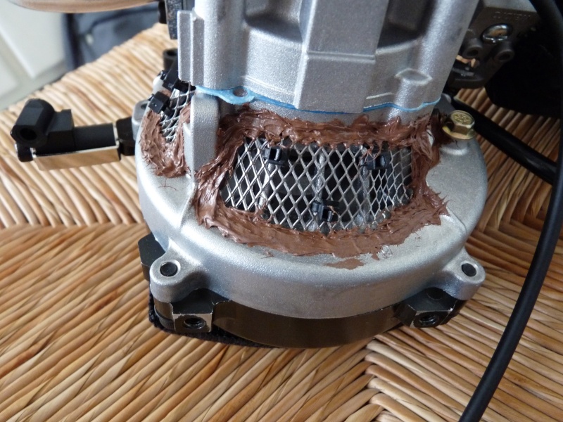 volant moteur P1000213