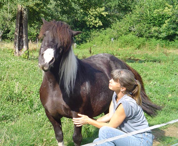 ARTHUR & AKIM - ONC poneys présumés nés en 1989 - adoptés en août 2009 par kalkita Tuur_t10