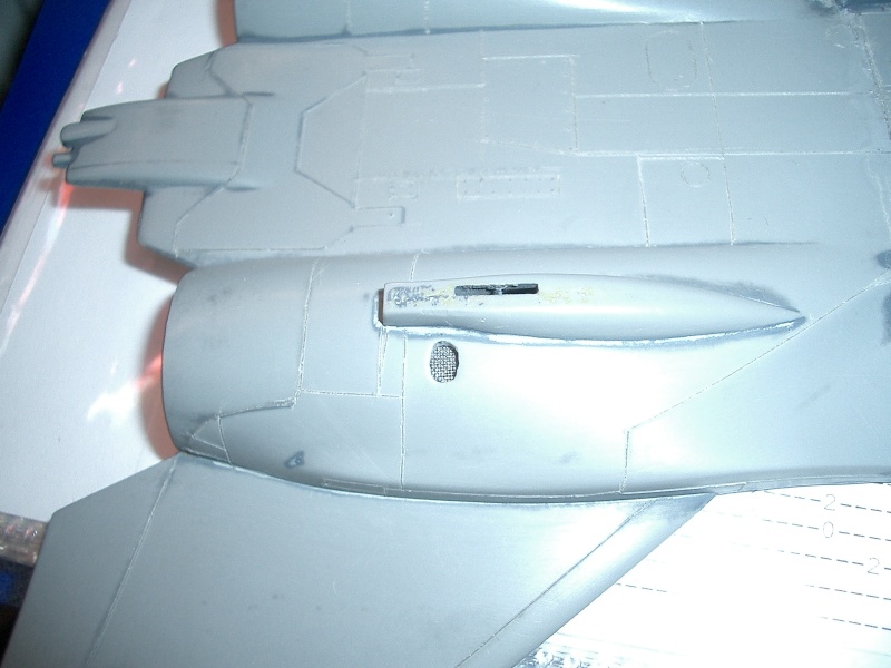 F14D Tomcat  1/48 [Revell] Cimg6411