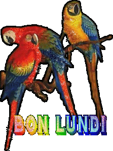 Bienvenue à toi Giustiniani Bon_lu13