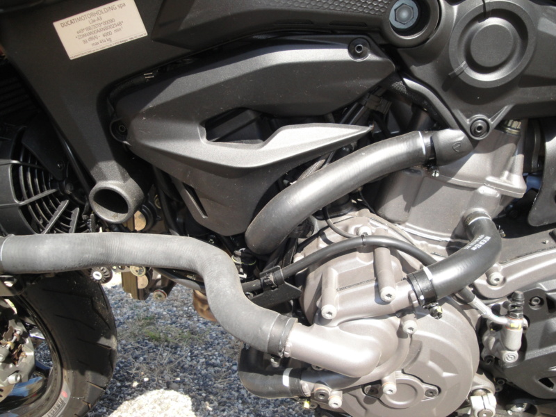 monster 937 Dsc04616