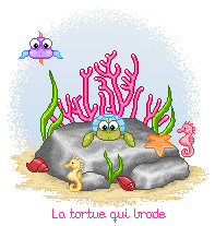 broderies terminées Tortue10