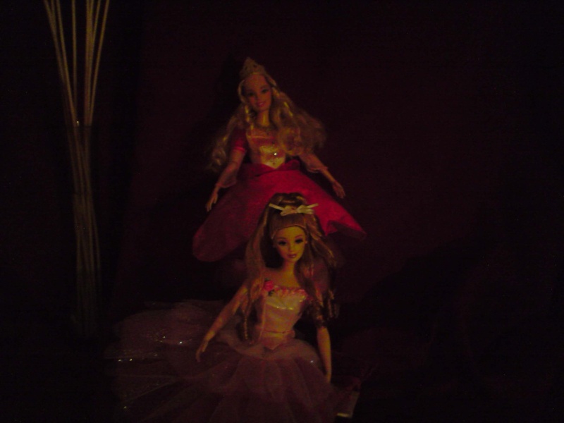 ma collection de Barbie P2503035