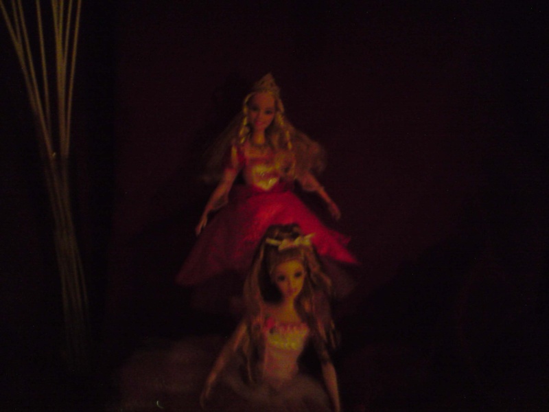 ma collection de Barbie P2503036