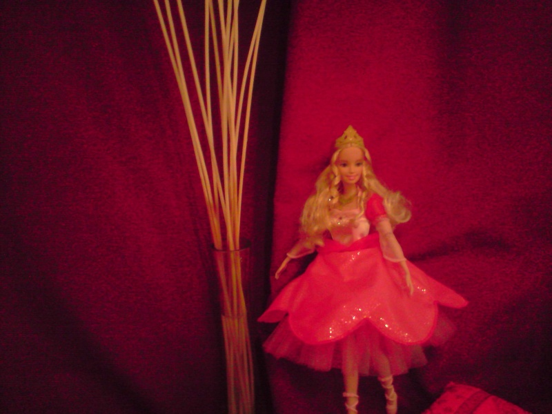ma collection de Barbie P2503041