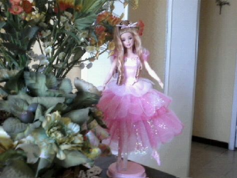 Ma Collection de Princesses Barbie Photo031