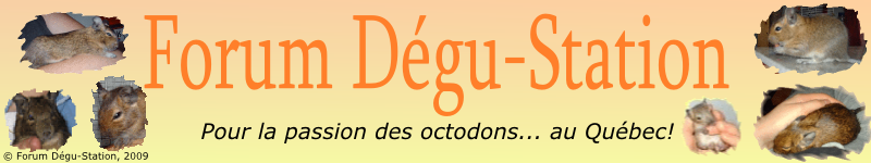 Dégu-Station