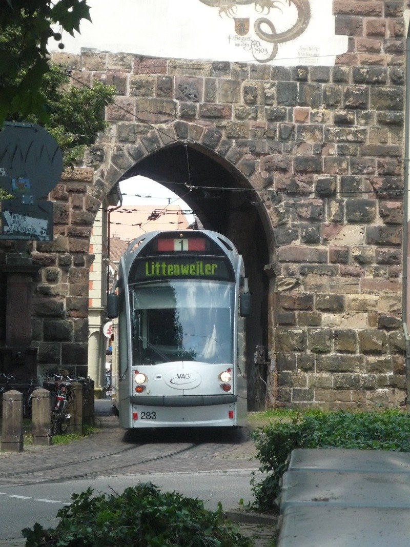 tram de fribourg P1040111