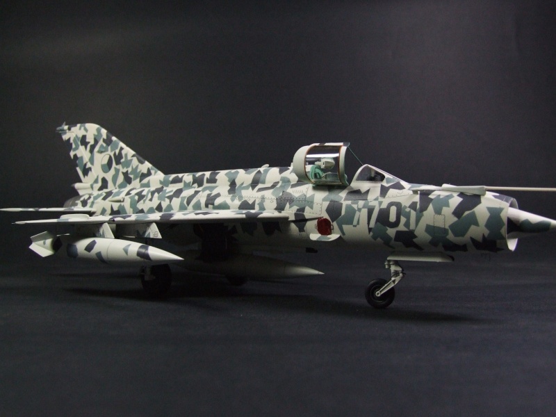 mig-21 camo splinter 00612