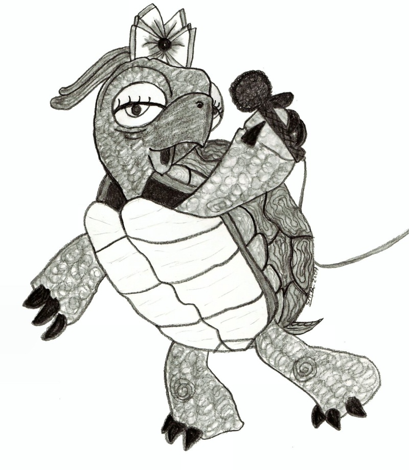 Turtle singer drawing Turtle11