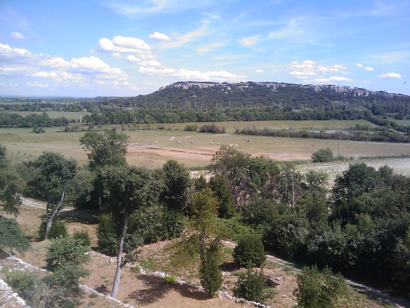 St Rémy de provence et ses environs Imag0011