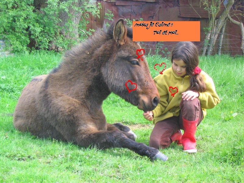 Thme pour Avril : la complicit cheval/cavalier 161_6110