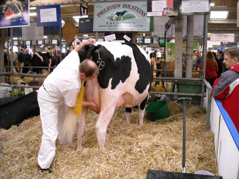 Dairy Event 2009 110