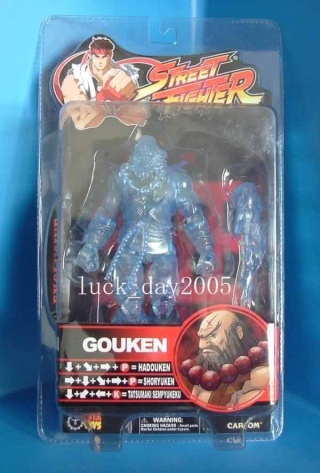 2004 - SOTA Toys - Street Fighter Dscf2811