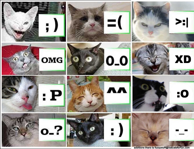LAWL Cats Thread Icons10