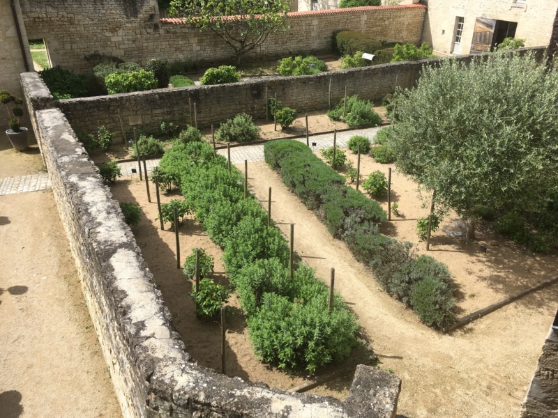 Balade en Vendée, le 28 avril 2019 Eaa29510