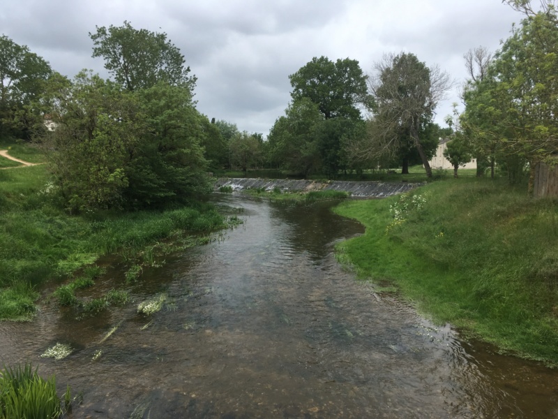 Balade en Vendée, le 28 avril 2019 F1c7b010