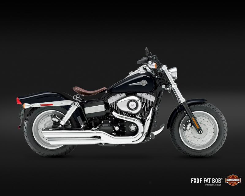 Fat bob uniquement - Page 23 Fat_bo10