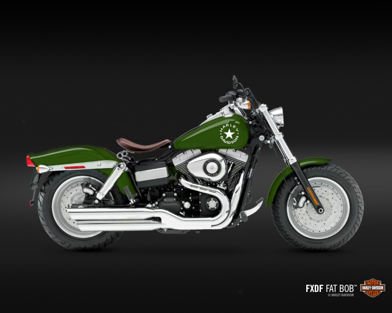 Fat bob uniquement - Page 23 Fat_bo12