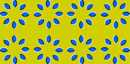 Les illusions ou effets d'optiques... Bv000011