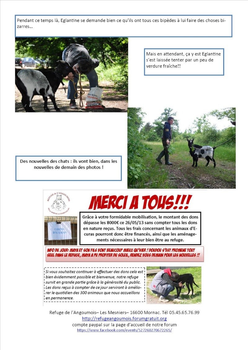 Nouvelles des animaux d'Ecuras du 28 05 13 Nouvel31