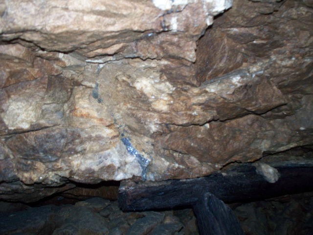 Cabin Shaft (Minera Mine) 100_1114
