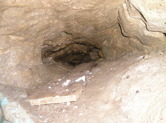 Rhewl Cave (Prion) Pictur54
