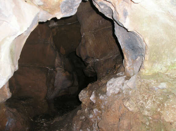 Castell Cawr Caves (Abergele) Pictur57