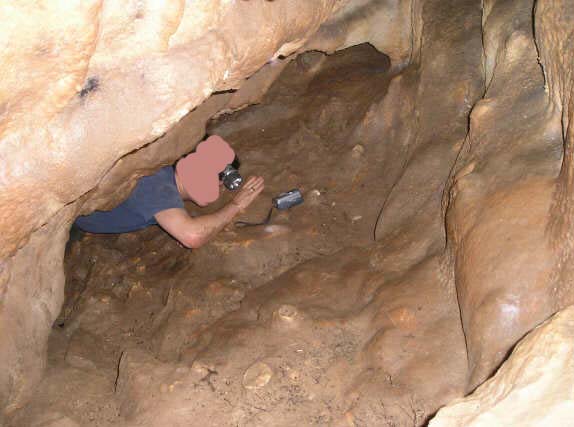 Castell Cawr Caves (Abergele) Pictur60