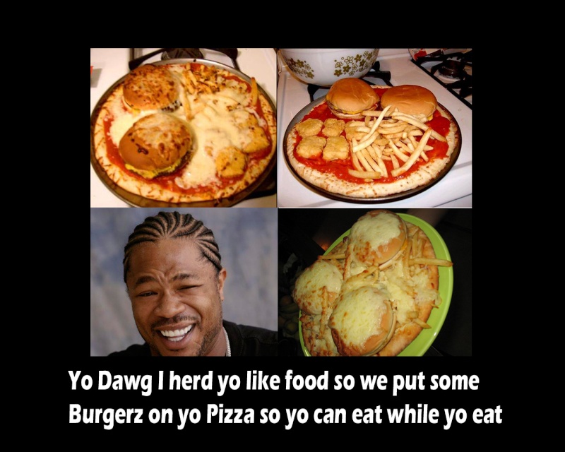 Yo dawg Picture Gallery 1510