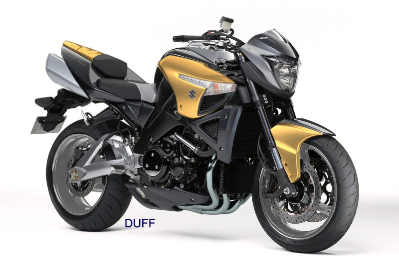 Gamme Suzuki 2010 B_king10