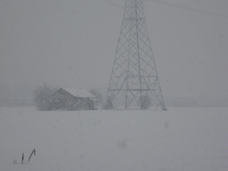 nevicata del 2 febbraio 2009 in brianza Fdsds_25