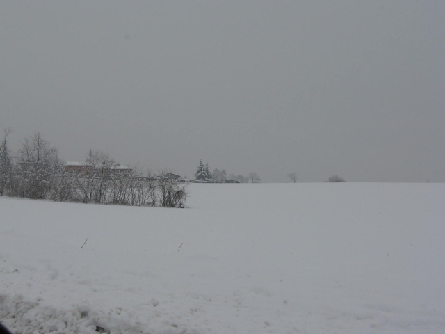 nevicata del 2 febbraio 2009 in brianza Fdsds_31
