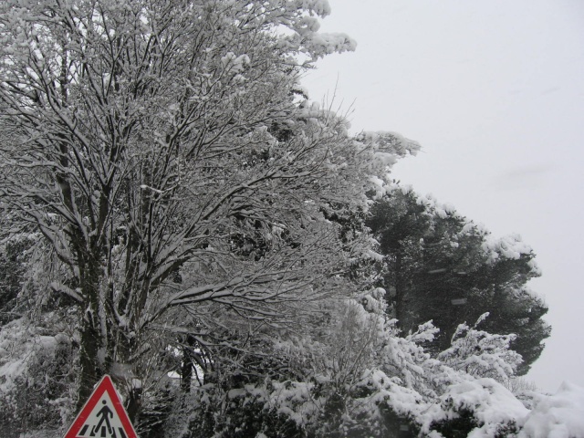 nevicata del 2 febbraio 2009 in brianza Fdsds_37