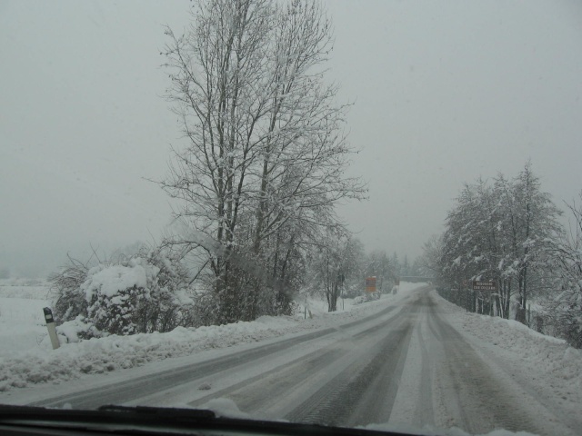 nevicata del 2 febbraio 2009 in brianza Fdsds_41