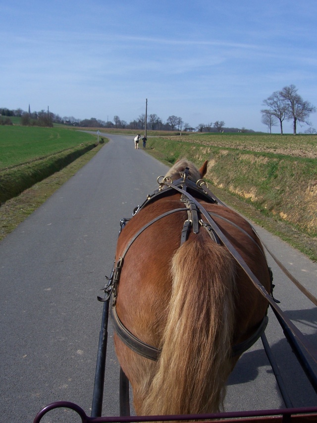 nous et l'attelage 100_3513
