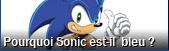 Quiz Sonic (By Msn) Sonic_10