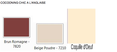 mon salon / salle a manger besoin conseil couleur / agenceme - Page 3 Image_12