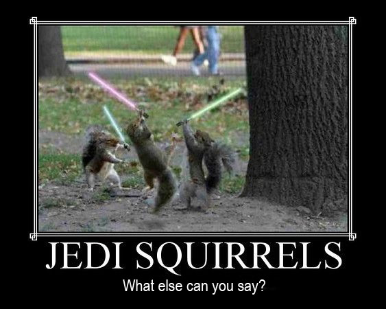 Funny Pictures Jedi_s11