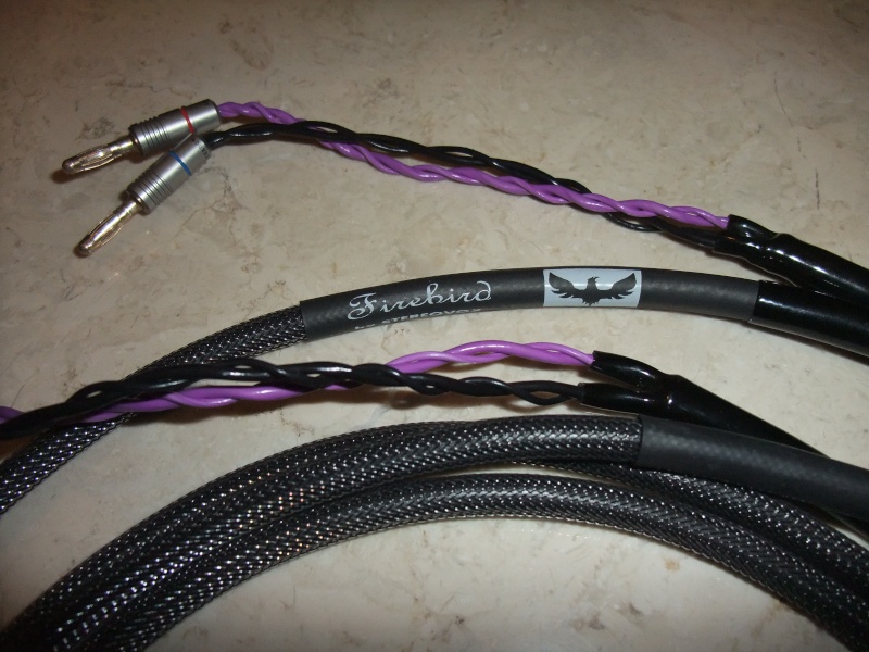 Stereovox Firebird speaker cables (Used) Dscf1412