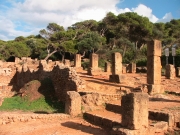 TIPAZA les ruines romaine Domes-10