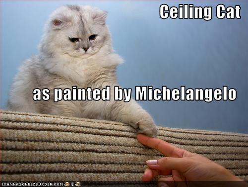 lolcats - Page 2 Ceilin12