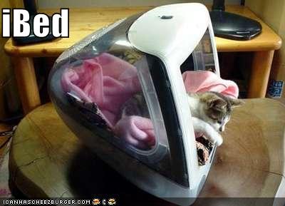 lolcats - Page 2 Ibed11