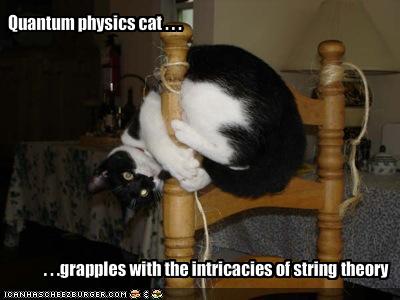 lolcats - Page 2 String10